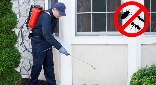 Sahilevleri Böcek İlaçlama böcek ilaçlama ve haşere kontrolü — ilaclama-tr.com